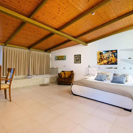 Parralito By Villagrancanaria Villa Ingenio